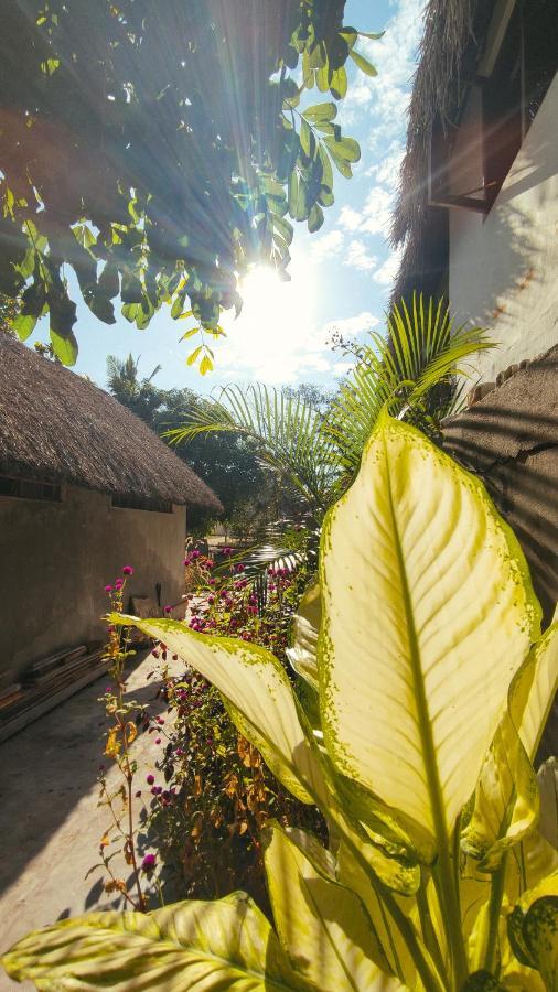 Kitesurf Tofo House Hostel Exterior photo